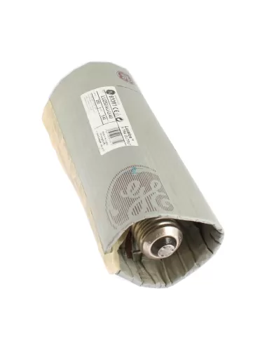 Lampe à sodium haute pression ellipsoïdale GE Lighting LU250 xo d 40 250 W E40